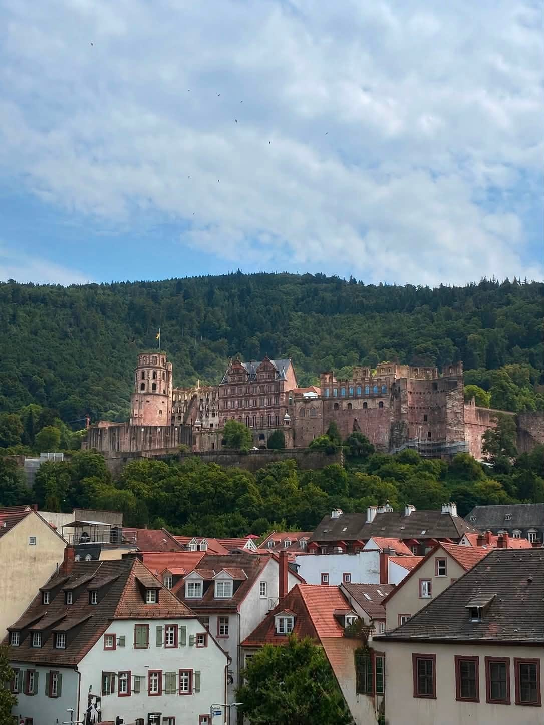 Heidelberg Castle above the town