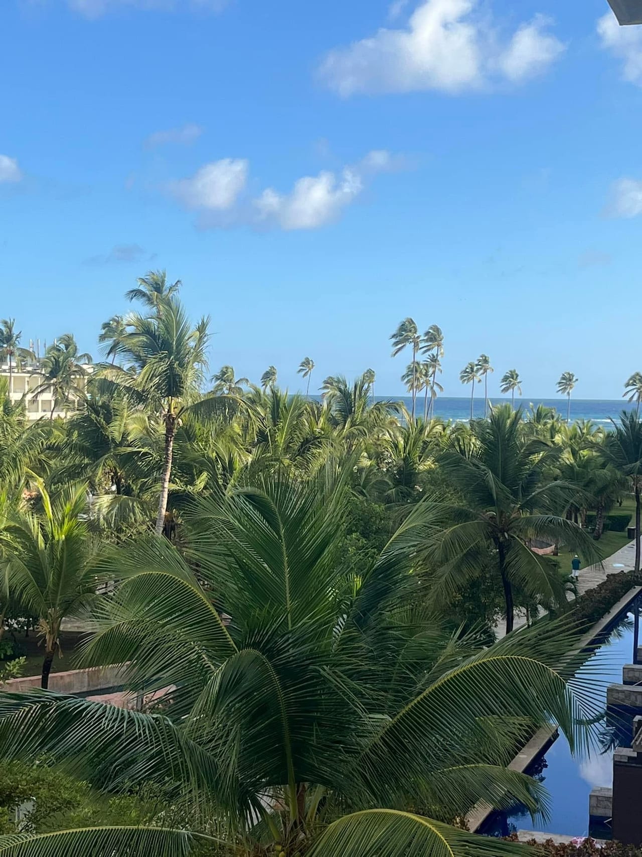 Palm trees, a pool, and the ocean seen from a balcony